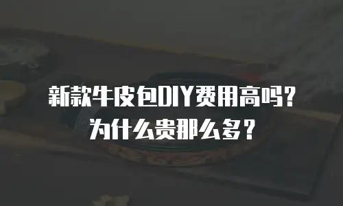 新款牛皮包DIY费用高吗？为什么贵那么多？