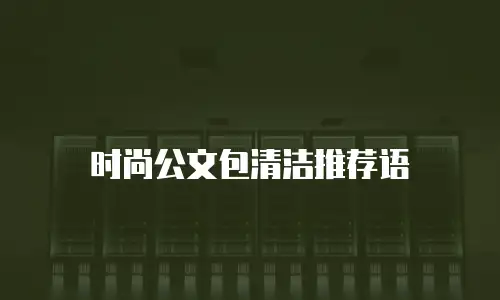 时尚公文包清洁推荐语