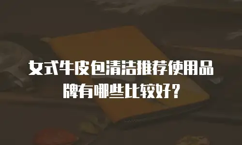 女式牛皮包清洁推荐使用品牌有哪些比较好？