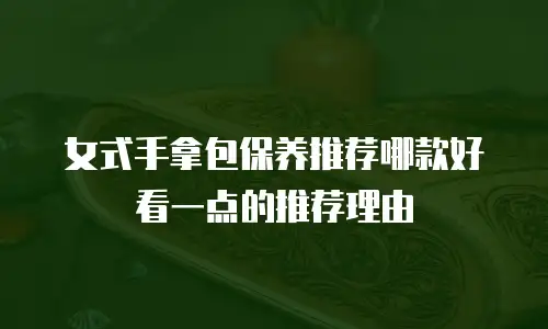 女式手拿包保养推荐哪款好看一点的推荐理由
