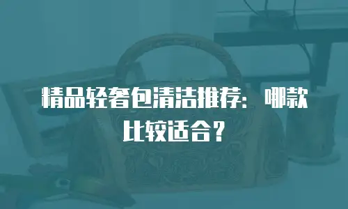 精品轻奢包清洁推荐：哪款比较适合？