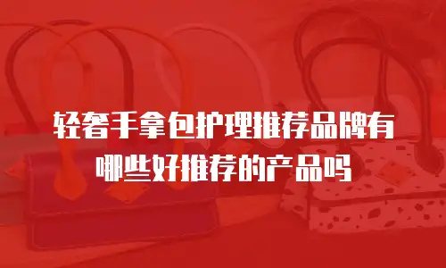 轻奢手拿包护理推荐品牌有哪些好推荐的产品吗
