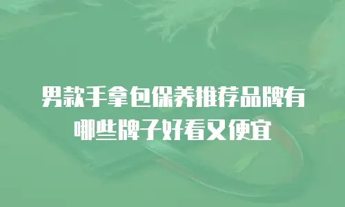 男款手拿包保养推荐品牌有哪些牌子好看又便宜