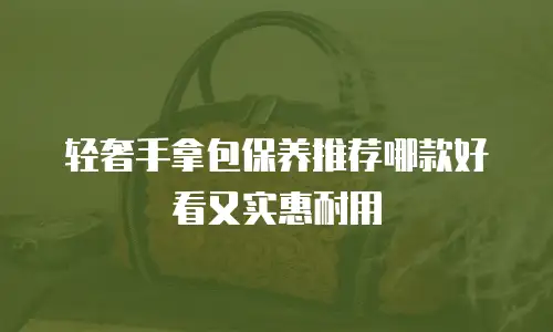 轻奢手拿包保养推荐哪款好看又实惠耐用
