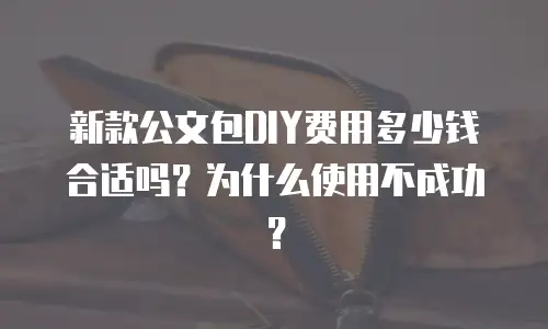 新款公文包DIY费用多少钱合适吗？为什么使用不成功？