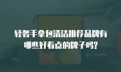 轻奢手拿包清洁推荐品牌有哪些好看点的牌子吗?