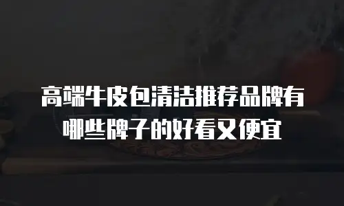 高端牛皮包清洁推荐品牌有哪些牌子的好看又便宜