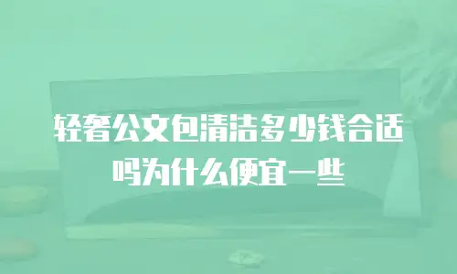 轻奢公文包清洁多少钱合适吗为什么便宜一些