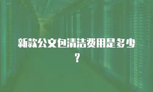 新款公文包清洁费用是多少？