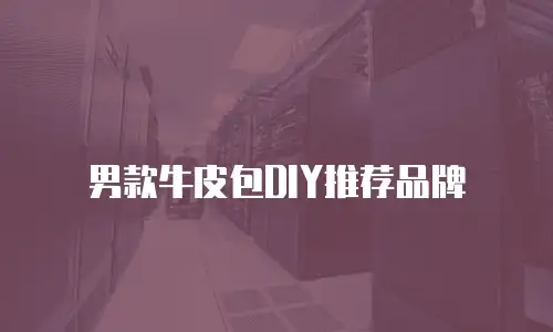 男款牛皮包DIY推荐品牌