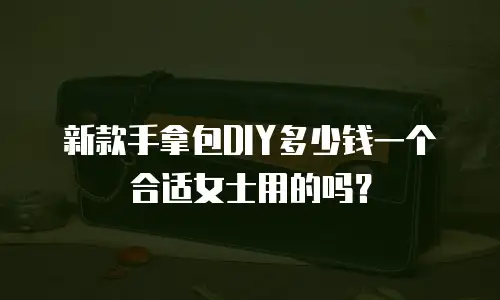 新款手拿包DIY多少钱一个合适女士用的吗？
