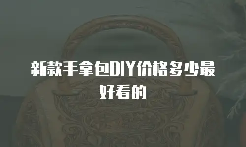 新款手拿包DIY价格多少最好看的