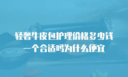 轻奢牛皮包护理价格多少钱一个合适吗为什么便宜