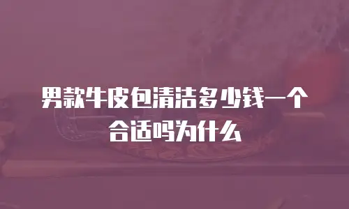男款牛皮包清洁多少钱一个合适吗为什么