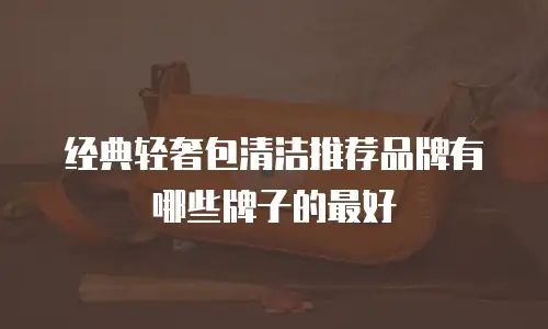 经典轻奢包清洁推荐品牌有哪些牌子的最好