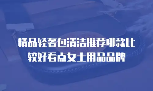 精品轻奢包清洁推荐哪款比较好看点女士用品品牌