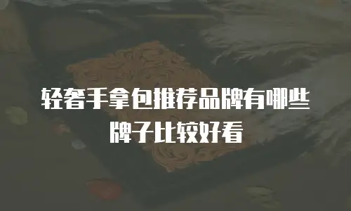 轻奢手拿包推荐品牌有哪些牌子比较好看