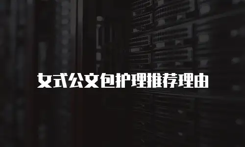 女式公文包护理推荐理由