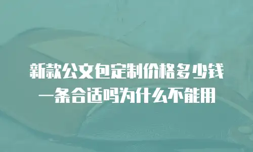 新款公文包定制价格多少钱一条合适吗为什么不能用