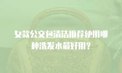 女款公文包清洁推荐使用哪种洗发水最好用？