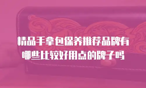 精品手拿包保养推荐品牌有哪些比较好用点的牌子吗