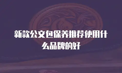 新款公文包保养推荐使用什么品牌的好