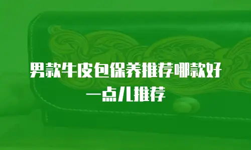 男款牛皮包保养推荐哪款好一点儿推荐