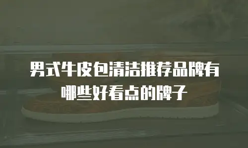 男式牛皮包清洁推荐品牌有哪些好看点的牌子