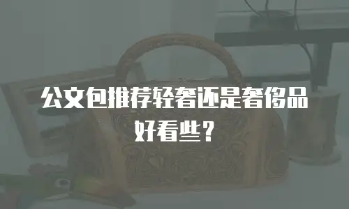 公文包推荐轻奢还是奢侈品好看些？
