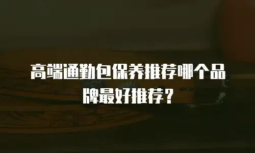 高端通勤包保养推荐哪个品牌最好推荐？