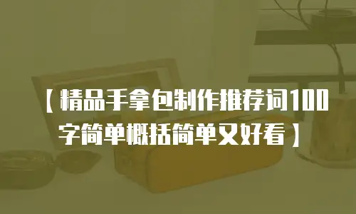 【精品手拿包制作推荐词100字简单概括简单又好看】