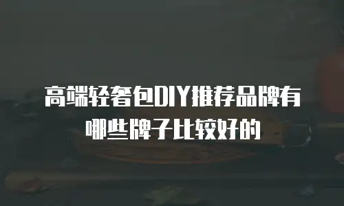 高端轻奢包DIY推荐品牌有哪些牌子比较好的