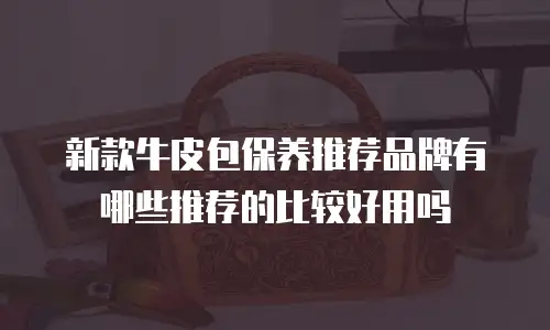 新款牛皮包保养推荐品牌有哪些推荐的比较好用吗