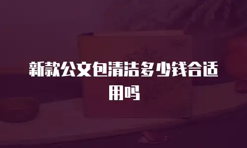 新款公文包清洁多少钱合适用吗