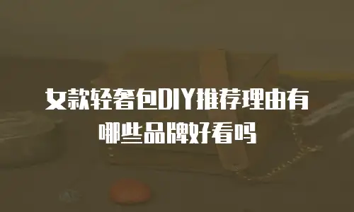 女款轻奢包DIY推荐理由有哪些品牌好看吗