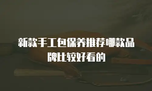 新款手工包保养推荐哪款品牌比较好看的
