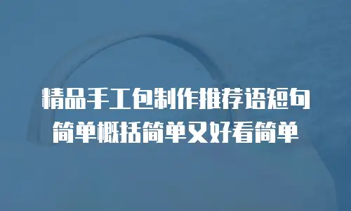 精品手工包制作推荐语短句简单概括简单又好看简单
