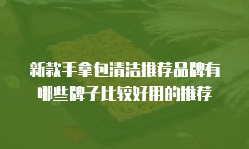 新款手拿包清洁推荐品牌有哪些牌子比较好用的推荐