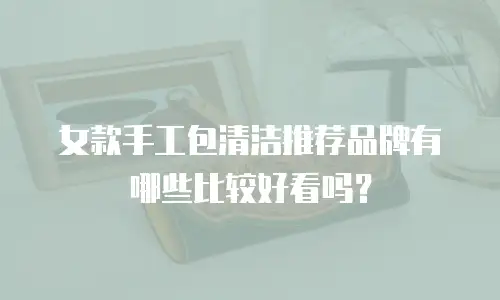女款手工包清洁推荐品牌有哪些比较好看吗？