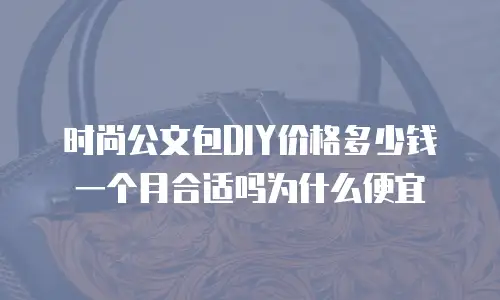 时尚公文包DIY价格多少钱一个月合适吗为什么便宜