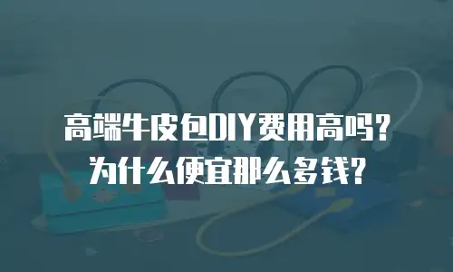 高端牛皮包DIY费用高吗？为什么便宜那么多钱？