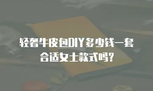 轻奢牛皮包DIY多少钱一套合适女士款式吗？