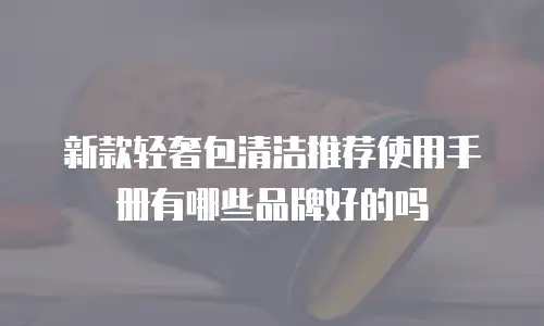 新款轻奢包清洁推荐使用手册有哪些品牌好的吗