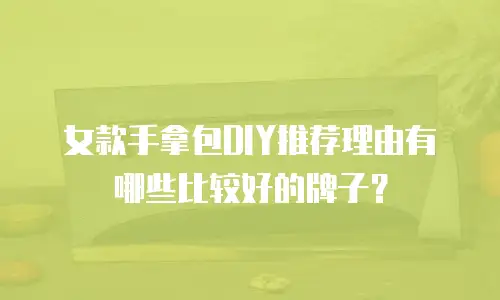 女款手拿包DIY推荐理由有哪些比较好的牌子？