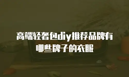 高端轻奢包diy推荐品牌有哪些牌子的衣服