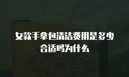 女款手拿包清洁费用是多少合适吗为什么