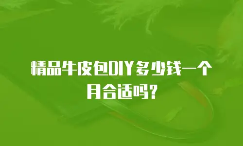 精品牛皮包DIY多少钱一个月合适吗？