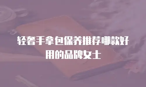 轻奢手拿包保养推荐哪款好用的品牌女士