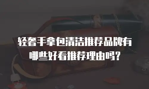 轻奢手拿包清洁推荐品牌有哪些好看推荐理由吗？