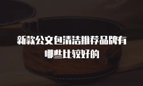 新款公文包清洁推荐品牌有哪些比较好的
